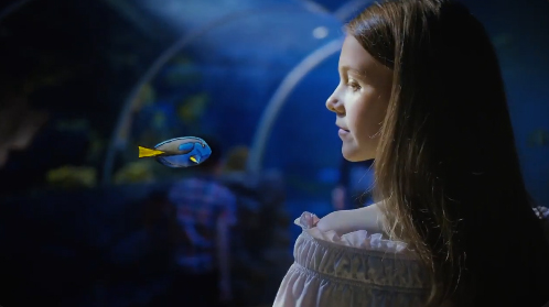 SeaLife Advert